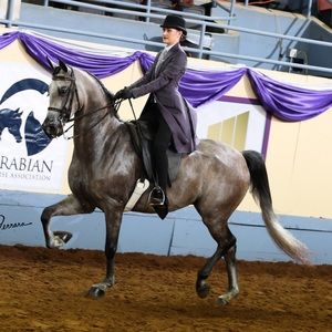 Meet your Posher, Teagen